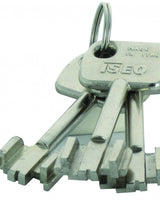 Décodeur Serrure Iseo Perfecta - Précision et Efficacité