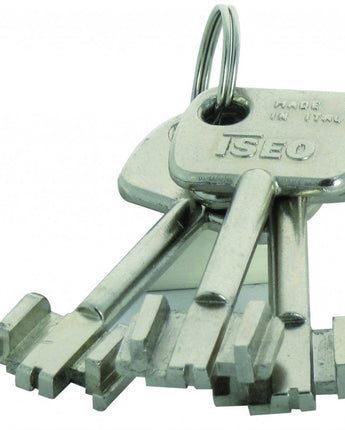 Décodeur Serrure Iseo Perfecta - Précision et Efficacité